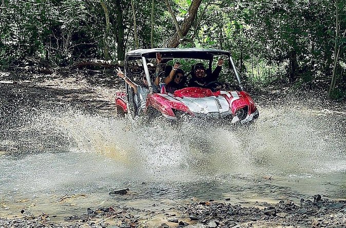UTV adventure in Naguabo Puerto Rico 50 minutes trip 80 acres - Price, group size, and overall value