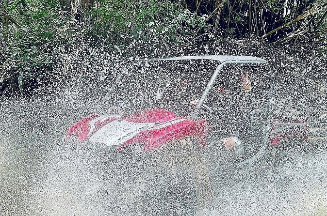 UTV adventure in Naguabo Puerto Rico 50 minutes trip 80 acres - Who will enjoy this most