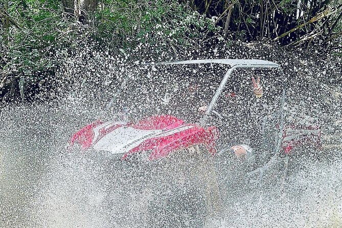 UTV adventure in Naguabo Puerto Rico 50 minutes trip 80 acres - Paths, mud, and small river crossings