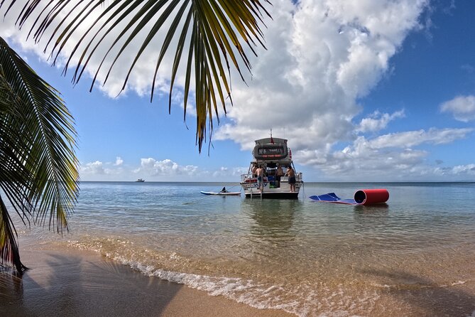 Vieques All-Inclusive: Swim with Turtles & Enjoy Pristine Beaches - Key points to know before you book