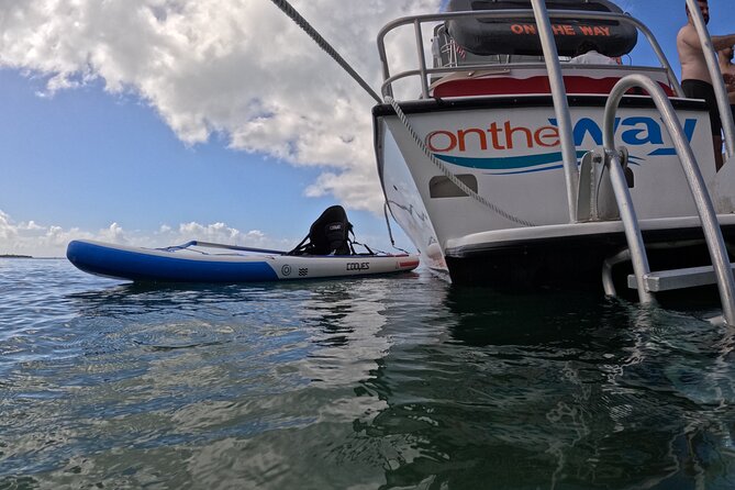 Vieques All-Inclusive: Swim with Turtles & Enjoy Pristine Beaches - Why this Vieques boat trip is appealing