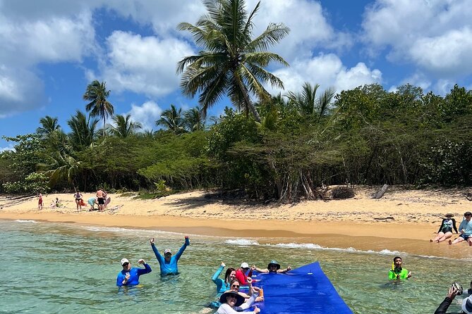 Vieques All-Inclusive: Swim with Turtles & Enjoy Pristine Beaches - Snorkeling in clear water around Vieques