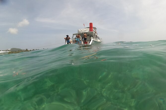 Vieques All-Inclusive: Swim with Turtles & Enjoy Pristine Beaches - Lunch with cold cuts, salads, fruit, and local bread