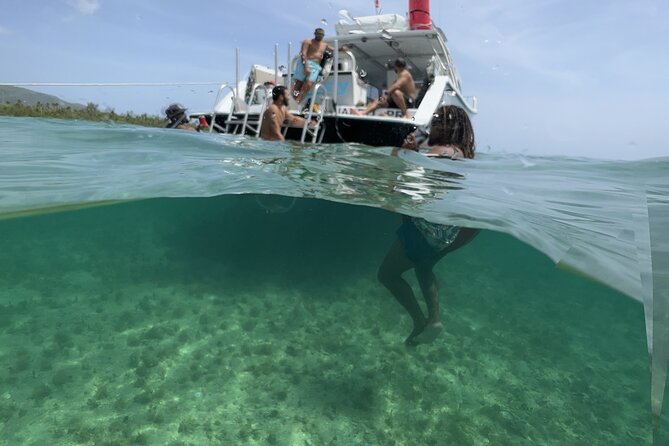 Vieques All-Inclusive: Swim with Turtles & Enjoy Pristine Beaches - A second stop for sun, views, and slower island time