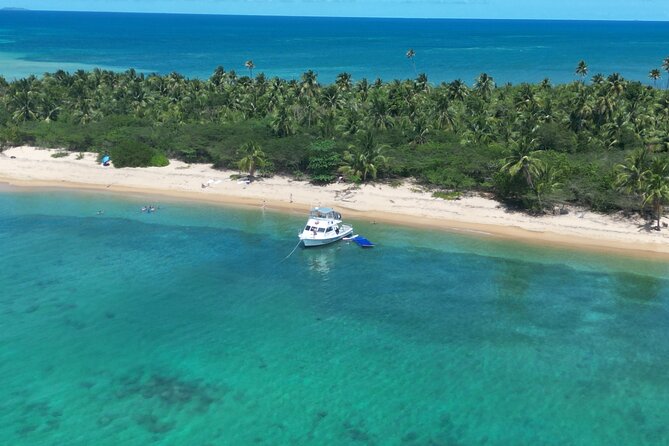 Vieques All-Inclusive: Swim with Turtles & Enjoy Pristine Beaches - What the $185 price really covers