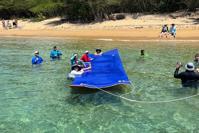 Vieques All-Inclusive: Swim with Turtles & Enjoy Pristine Beaches - The weather policy and backup destinations
