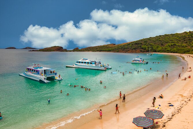 Vieques: Beach and Snorkeling Tour by Catamaran from Fajardo - What lunch and drinks add to the $180 price