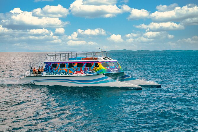 Vieques: Beach and Snorkeling Tour by Catamaran from Fajardo - Who will get the most from this Vieques tour?