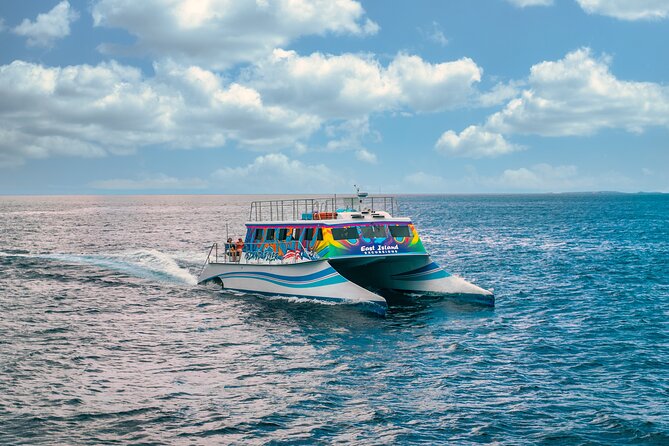 Vieques: Beach and Snorkeling Tour by Catamaran from Fajardo - Swimming and snorkeling in clear Vieques water