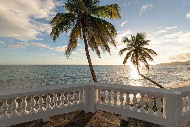 Vieques Bio Bay Tour and Beach Day Trip from San Juan by Ferry - Sun Bay or Esperanza Beach