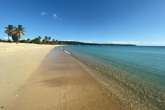 Vieques Bio Bay Tour and Beach Day Trip from San Juan by Ferry - The clear-bottom kayak on Mosquito Bay