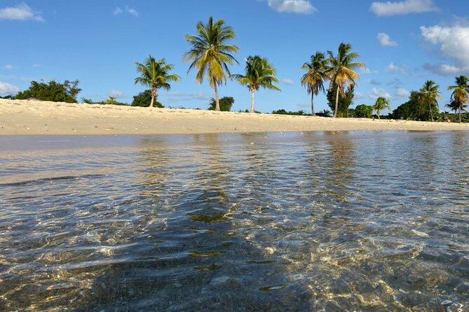 Vieques Bio Bay Tour and Beach Day Trip from San Juan by Ferry - The ferry ride to Vieques