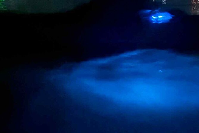 Vieques island Biobay Kayaking Tour - Ferry timing can make or break your night