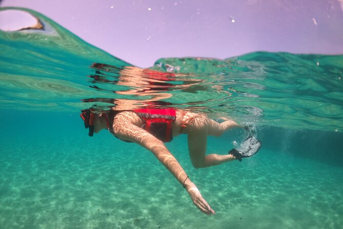 VIP San Juan: Snorkeling Tour with Turtles with Free Videos - How the $80 price compares with the experience