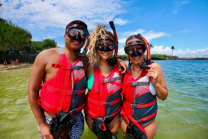 VIP San Juan: Snorkeling Tour with Turtles with Free Videos - Choosing the right guide and time