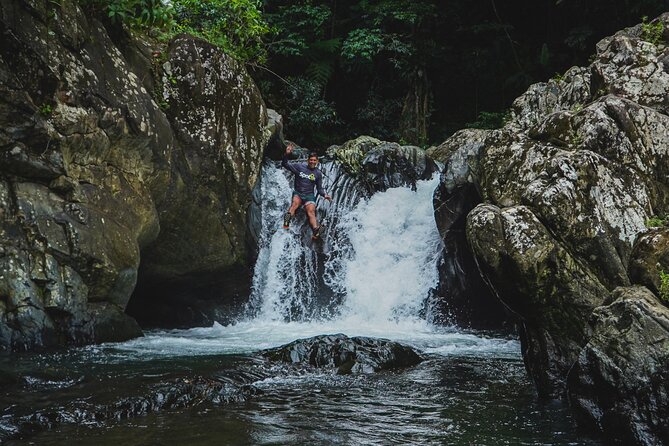 VIP Small Group El Yunque Rainforest Adventure - Guides who shape the experience