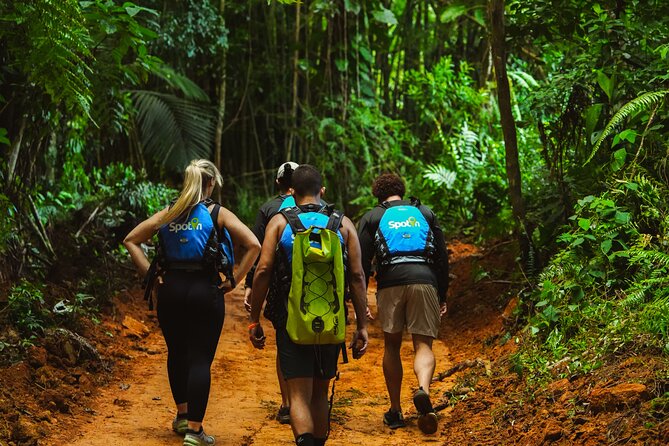 VIP Small Group El Yunque Rainforest Adventure - Meeting at Norte Shopping Center at 9:30 a.m.