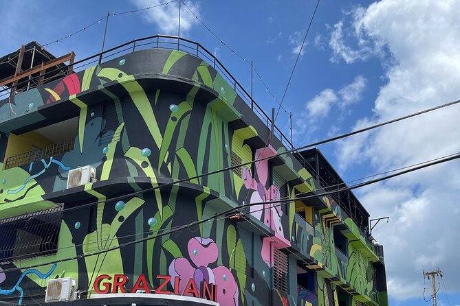 Visit Local Bars at Art District in San Juan - Walking through Santurce’s Art District