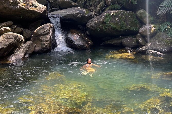 Waterfall Hike in Remote Area of El Yunque Rainforest; San Juan - Key points to know before you book
