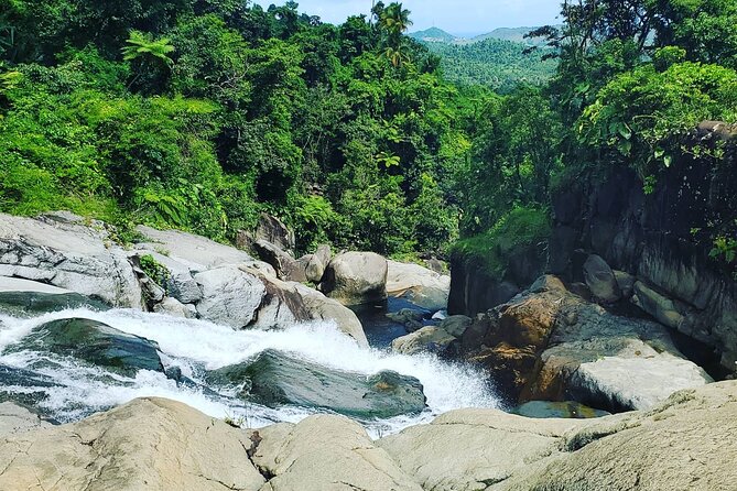Waterfall Hike in Remote Area of El Yunque Rainforest; San Juan - Guides who shape the day