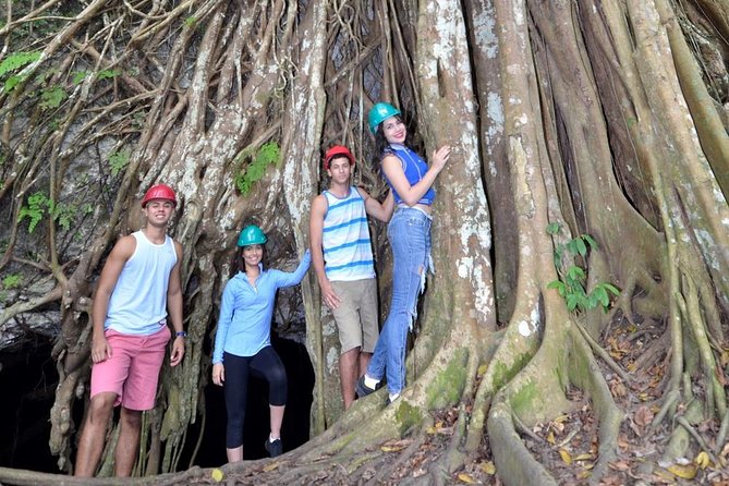 Window Cave Walking Tour from San Juan - Why Cueva Ventana makes a strong half-day outing