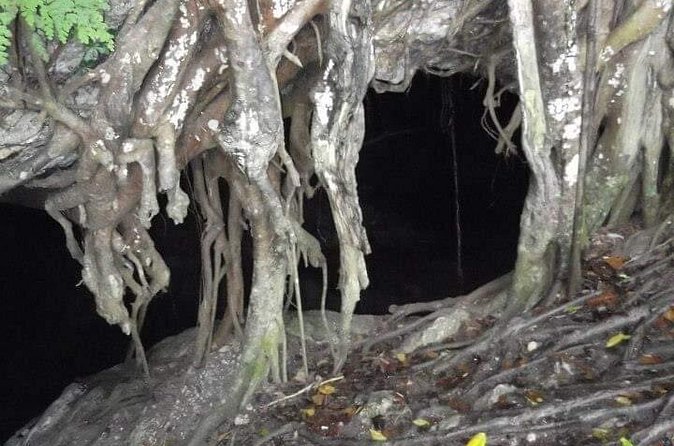 Window Cave Walking Tour from San Juan - Is the $127 price fair?