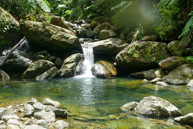 Yunque & Piñones Tour Hike Eat & Adventure with a Local; San Juan - Key Things To Know Before Booking