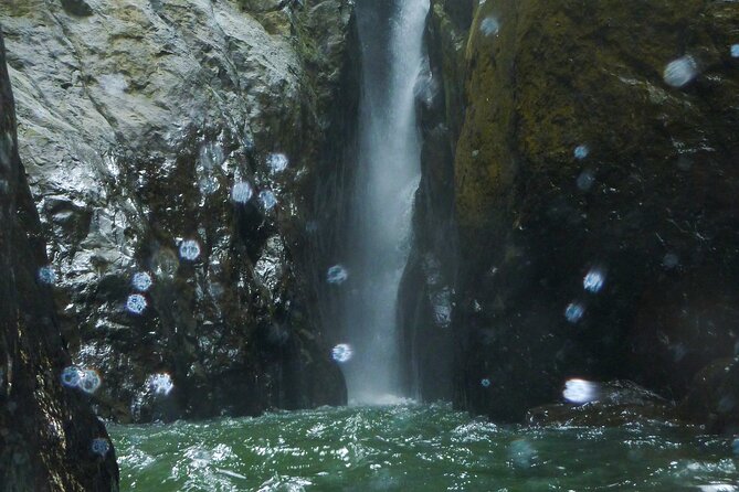 Yunque & Piñones Tour Hike Eat & Adventure with a Local; San Juan - Practical Details For A Smoother Morning