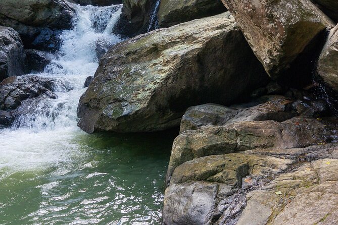 Yunque & Piñones Tour Hike Eat & Adventure with a Local; San Juan - Should You Book The El Yunque And Piñones Tour?