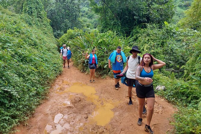Yunque Rainforest Tour in Puerto Rico - Who should take this tour?