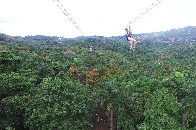 Zipline Canopy Tour with Transport from San Juan - Key points to know before booking