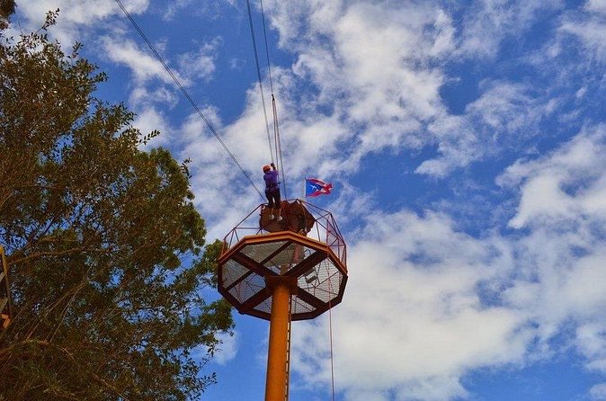 Zipline Canopy Tour with Transport from San Juan - Stairs, walking, and the real level of effort