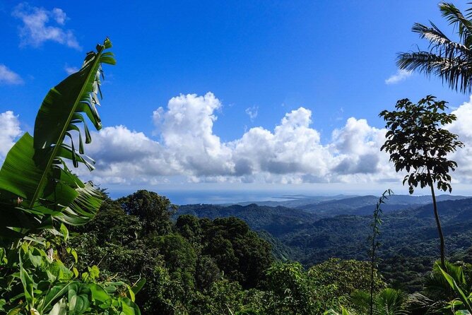Zipline Canopy Tour with Transport from San Juan - Safety and guide support
