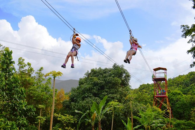 Zipline Canopy Tour with Transport from San Juan - Eight lines through the rainforest canopy