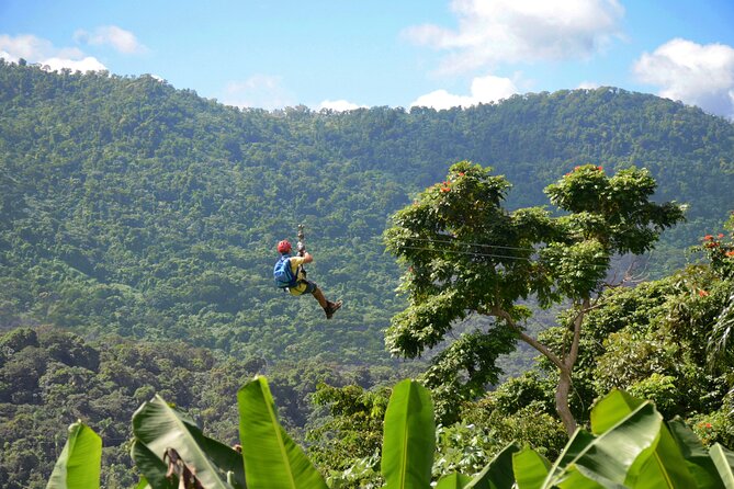 Ziplining at the Rainforest in Puerto Rico - Quick points to know before you book