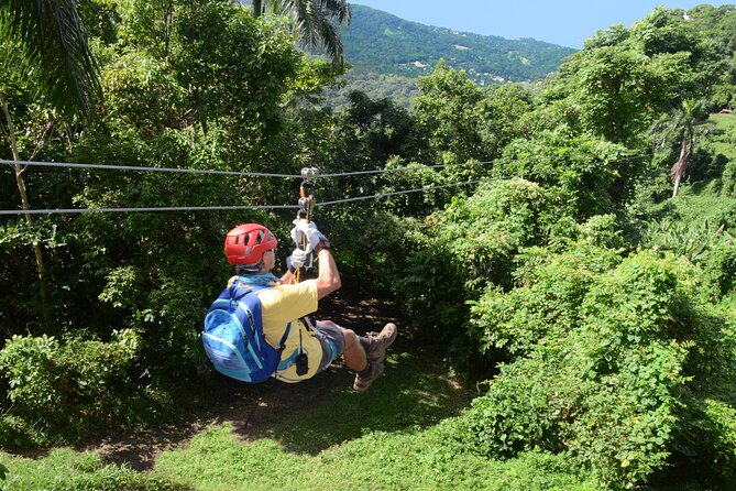 Ziplining at the Rainforest in Puerto Rico - What this Luquillo rainforest adventure actually includes