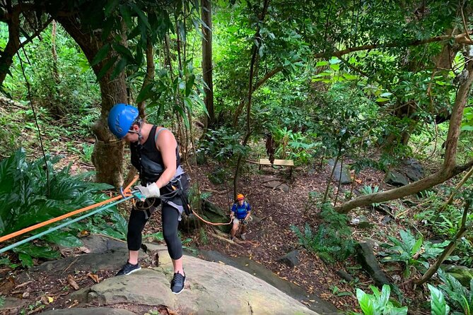 Ziplining at the Rainforest in Puerto Rico - The rappel and canopy bridge add useful variety