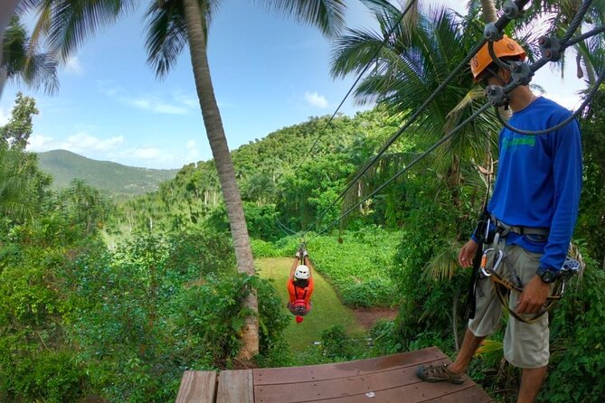 Ziplining at the Rainforest in Puerto Rico - Choosing between the morning and afternoon sessions