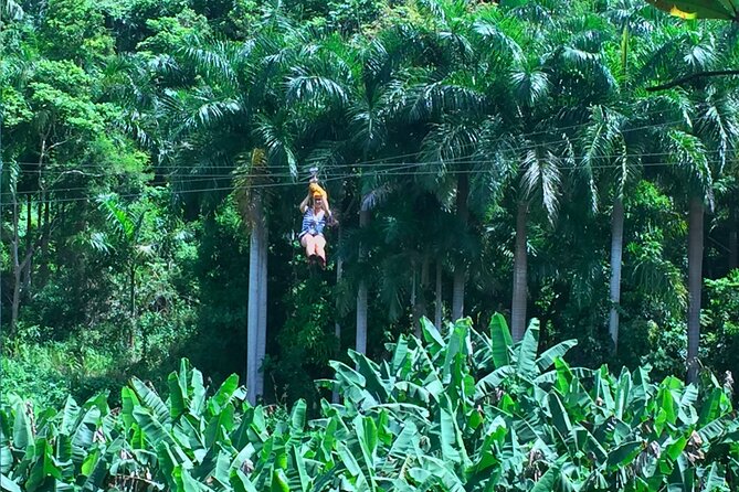 Ziplining at the Rainforest in Puerto Rico - What $149 gets you, and what it does not