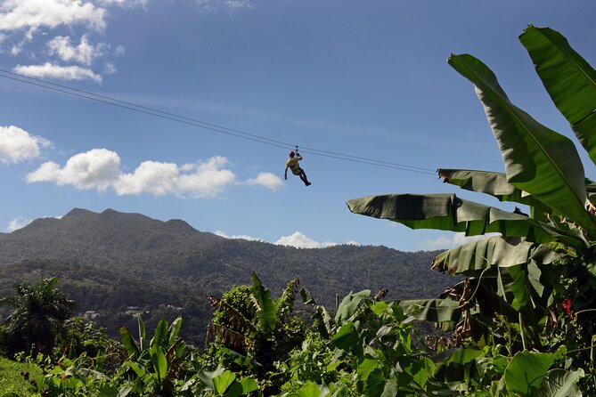 Ziplining at the Rainforest in Puerto Rico - Five ziplines from 400 to 1,000 feet